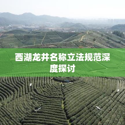 西湖龙井名称立法规范深度探讨