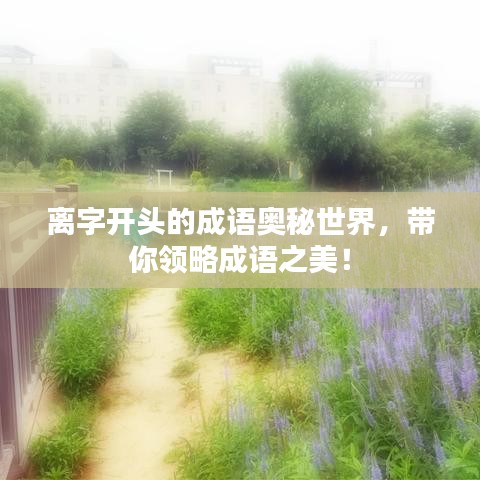 离字开头的成语奥秘世界，带你领略成语之美！