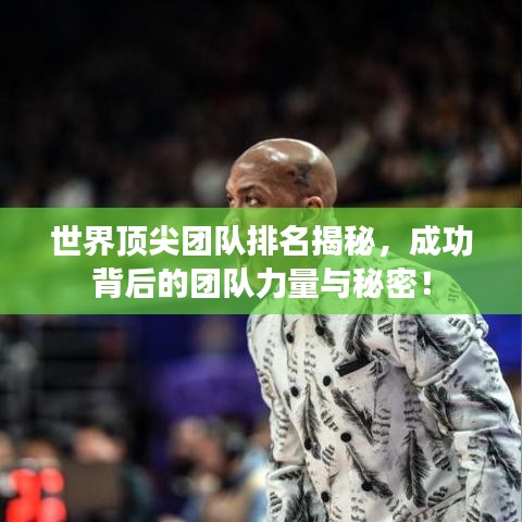 世界顶尖团队排名揭秘，成功背后的团队力量与秘密！