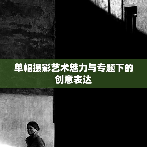 单幅摄影艺术魅力与专题下的创意表达