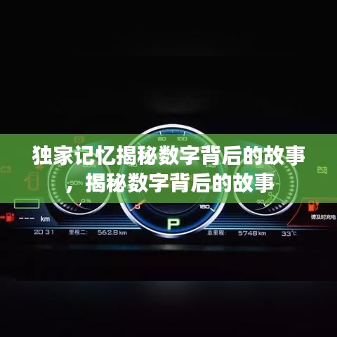 独家记忆揭秘数字背后的故事，揭秘数字背后的故事