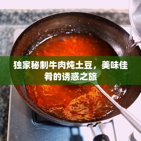 独家秘制牛肉炖土豆，美味佳肴的诱惑之旅