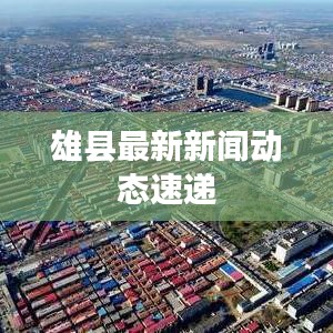 雄县最新新闻动态速递