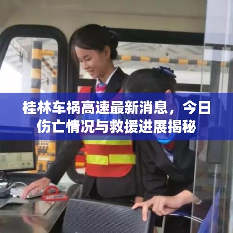 桂林车祸高速最新消息，今日伤亡情况与救援进展揭秘