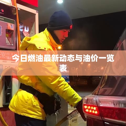 今日燃油最新动态与油价一览表