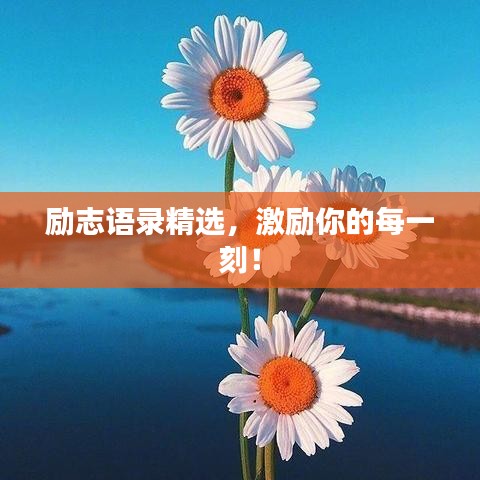 励志语录精选，激励你的每一刻！