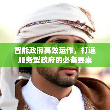 智能政府高效运作，打造服务型政府的必备要素