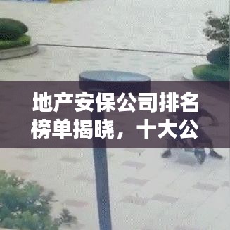 地产安保公司排名榜单揭晓，十大公司榜单吸引眼球！