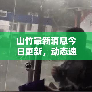 山竹最新消息今日更新，动态速递！