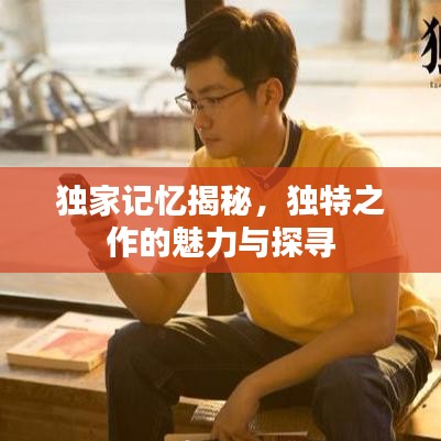 独家记忆揭秘，独特之作的魅力与探寻