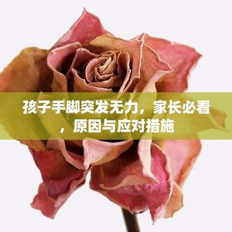 孩子手脚突发无力，家长必看，原因与应对措施