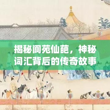 揭秘阆苑仙葩，神秘词汇背后的传奇故事