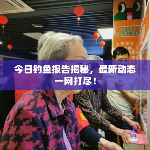 今日钓鱼报告揭秘，最新动态一网打尽！