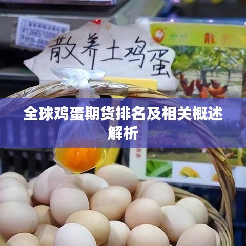 全球鸡蛋期货排名及相关概述解析