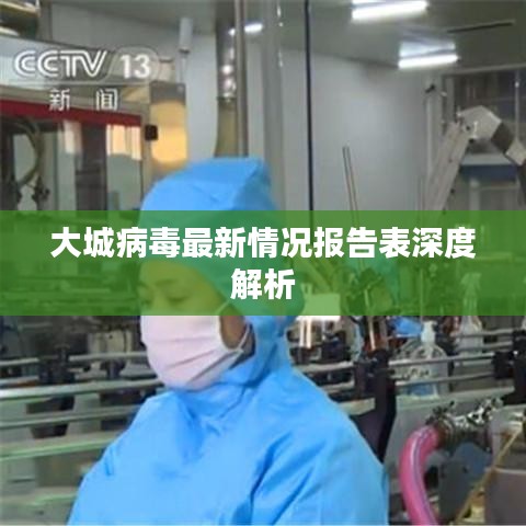 大城病毒最新情况报告表深度解析
