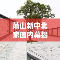 萧山新中北家园内幕揭秘，最新事件全知道