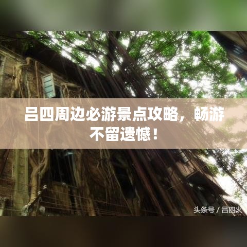 吕四周边必游景点攻略，畅游不留遗憾！
