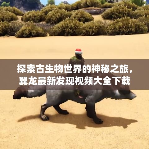 探索古生物世界的神秘之旅，翼龙最新发现视频大全下载