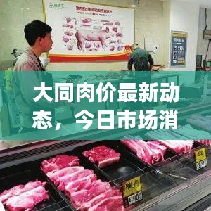 豆油皮系列 第12页