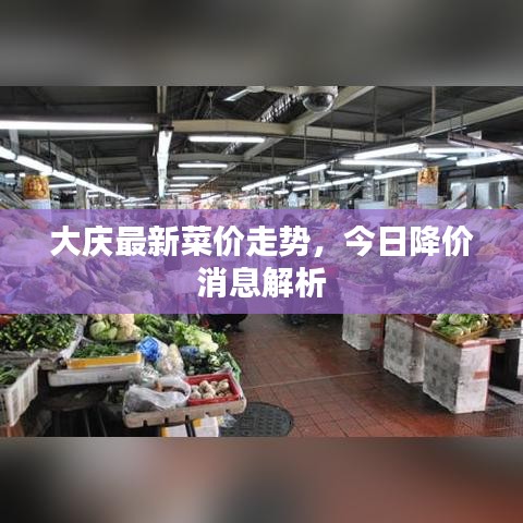 大庆最新菜价走势，今日降价消息解析