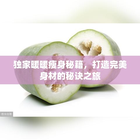在线订购/商城 第12页