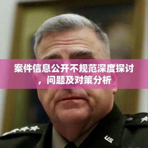 案件信息公开不规范深度探讨，问题及对策分析