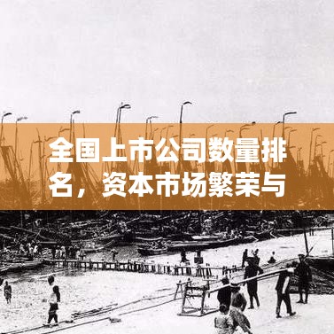 全国上市公司数量排名，资本市场繁荣与变迁的见证者