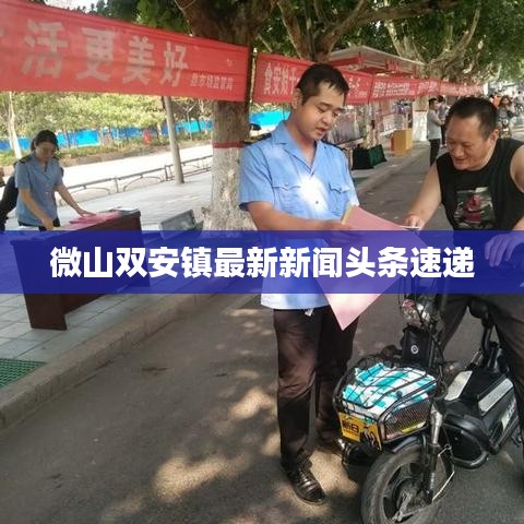 微山双安镇最新新闻头条速递
