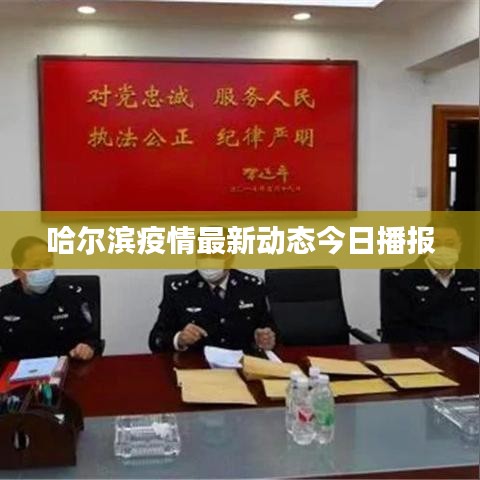 哈尔滨疫情最新动态今日播报