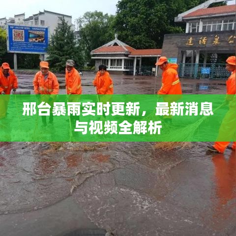 飞鸟惊蛇