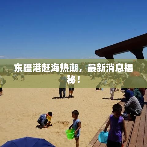 东疆港赶海热潮，最新消息揭秘！