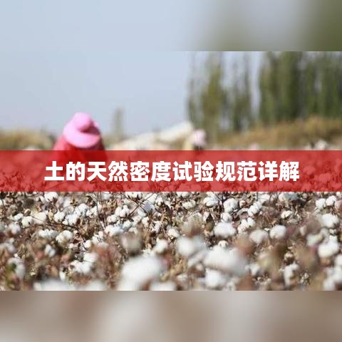 土的天然密度试验规范详解