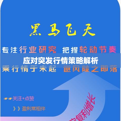 应对突发行情策略解析