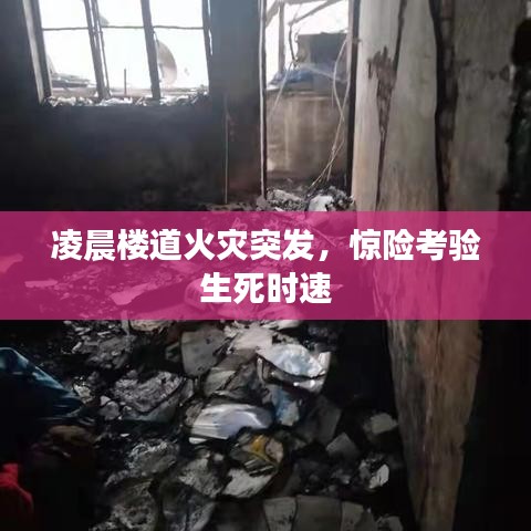 凌晨楼道火灾突发，惊险考验生死时速