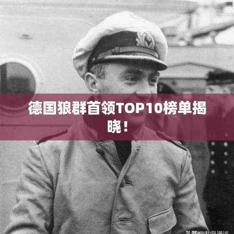 德国狼群首领TOP10榜单揭晓！