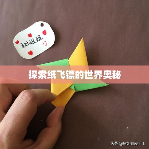 探索纸飞镖的世界奥秘