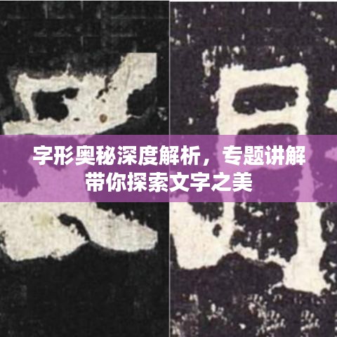字形奥秘深度解析，专题讲解带你探索文字之美