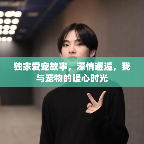 独家爱宠故事，深情邂逅，我与宠物的暖心时光
