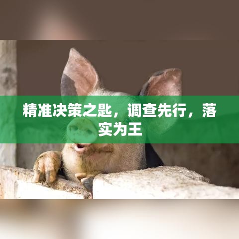 精准决策之匙，调查先行，落实为王