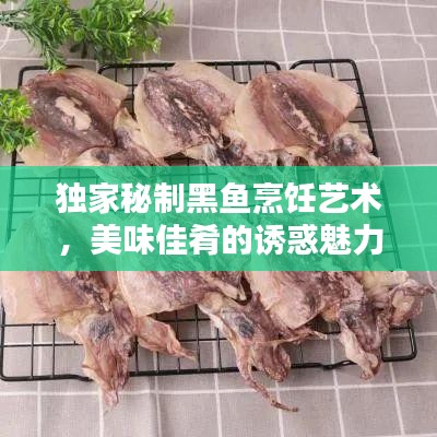 衣不完采