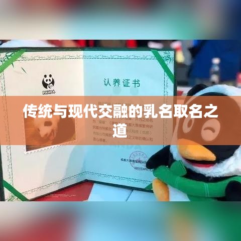 传统与现代交融的乳名取名之道