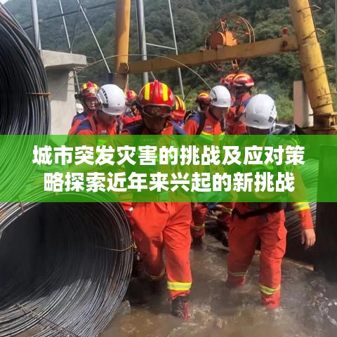 城市突发灾害的挑战及应对策略探索近年来兴起的新挑战