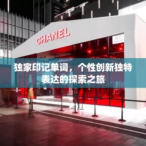 独家印记单词，个性创新独特表达的探索之旅