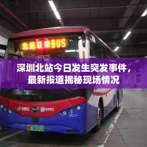 深圳北站今日发生突发事件，最新报道揭秘现场情况