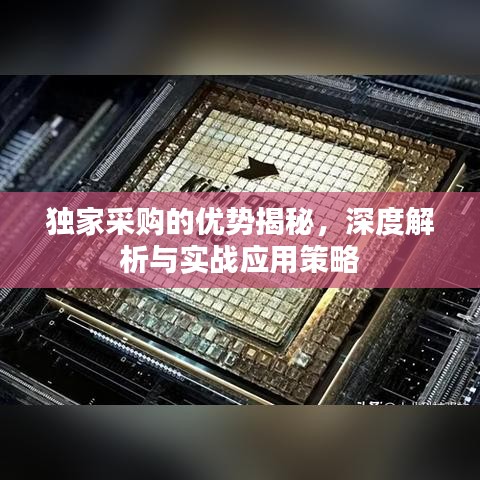 独家采购的优势揭秘，深度解析与实战应用策略