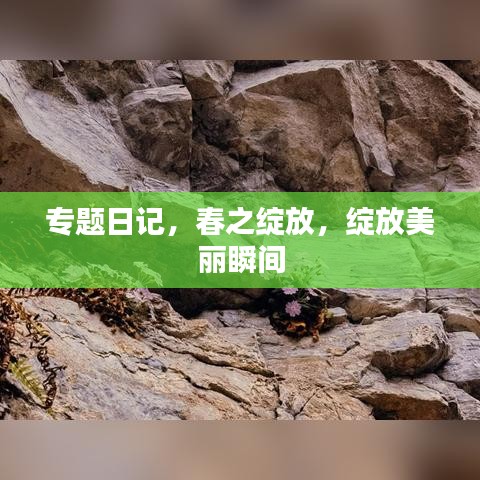 专题日记，春之绽放，绽放美丽瞬间