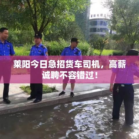 莱阳今日急招货车司机，高薪诚聘不容错过！