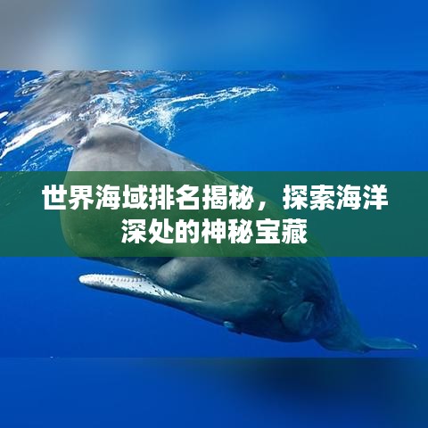 世界海域排名揭秘，探索海洋深处的神秘宝藏