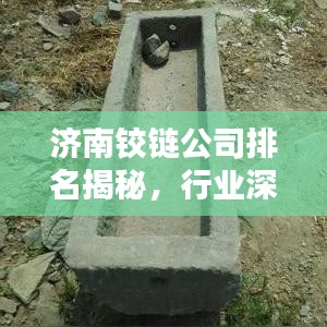 济南铰链公司排名揭秘，行业深度分析