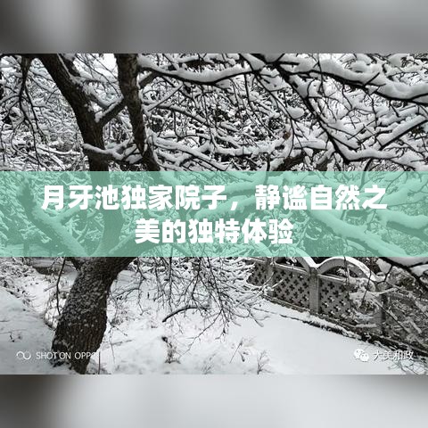 月牙池独家院子，静谧自然之美的独特体验